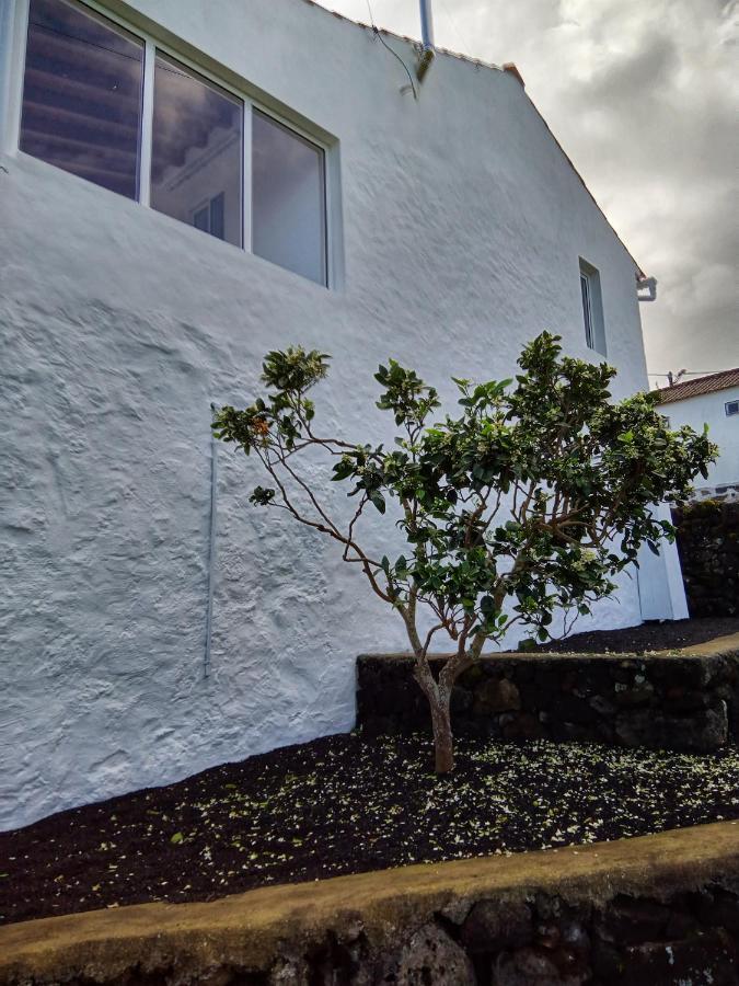Casa Do Marcelino Lagarto Villa São Roque do Pico Екстериор снимка