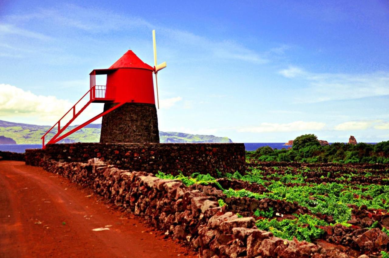 Casa Do Marcelino Lagarto Villa São Roque do Pico Екстериор снимка