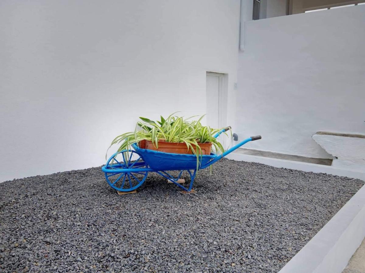 Casa Do Marcelino Lagarto Villa São Roque do Pico Екстериор снимка